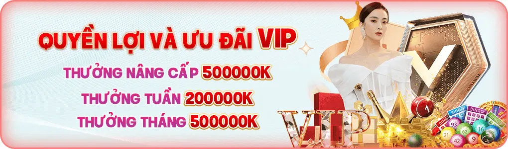 Quyền lợi và ưu đãi vip 888toto